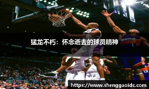 猛龙不朽：怀念逝去的球员精神